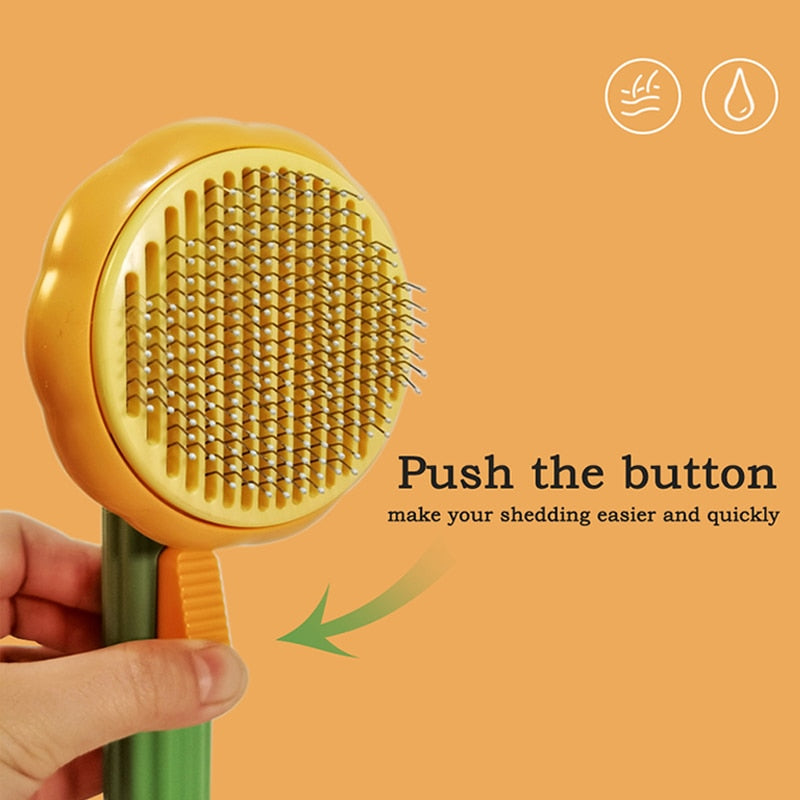 Pumpkin Brush