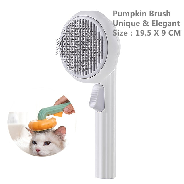 Pumpkin Brush