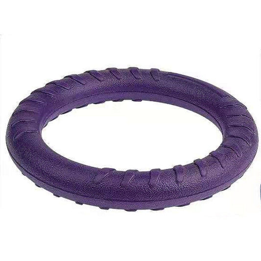 Frisbee Disk