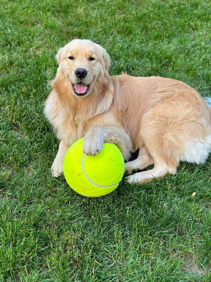Giant Tennis Ball