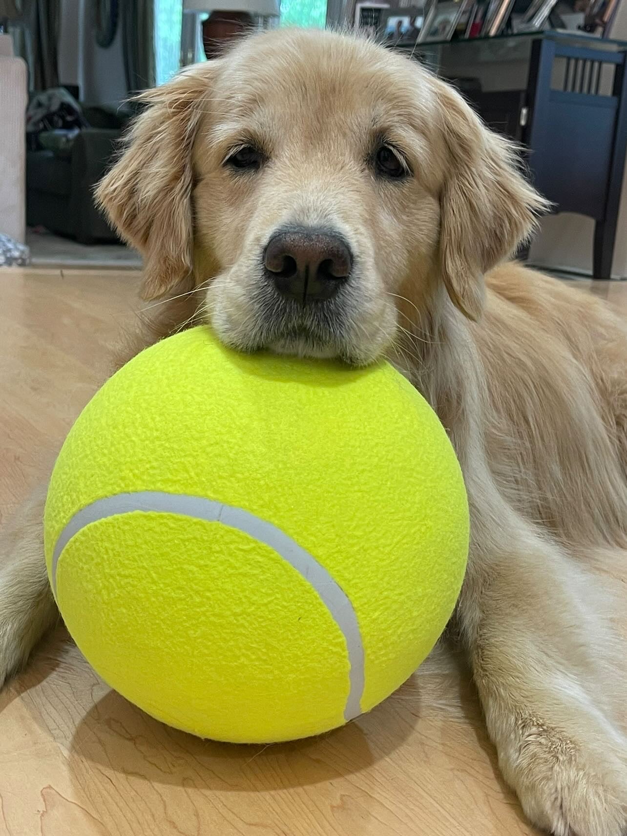 Giant Tennis Ball