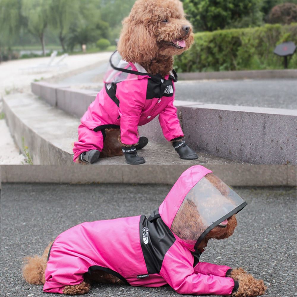 Doggy Raincoat
