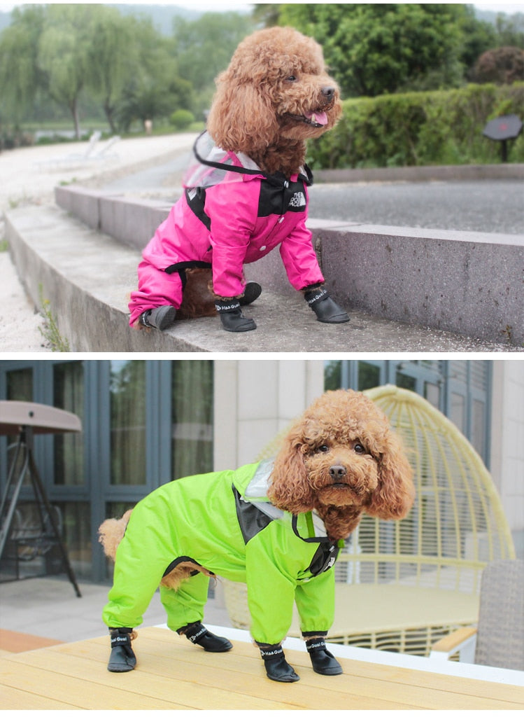 Doggy Raincoat