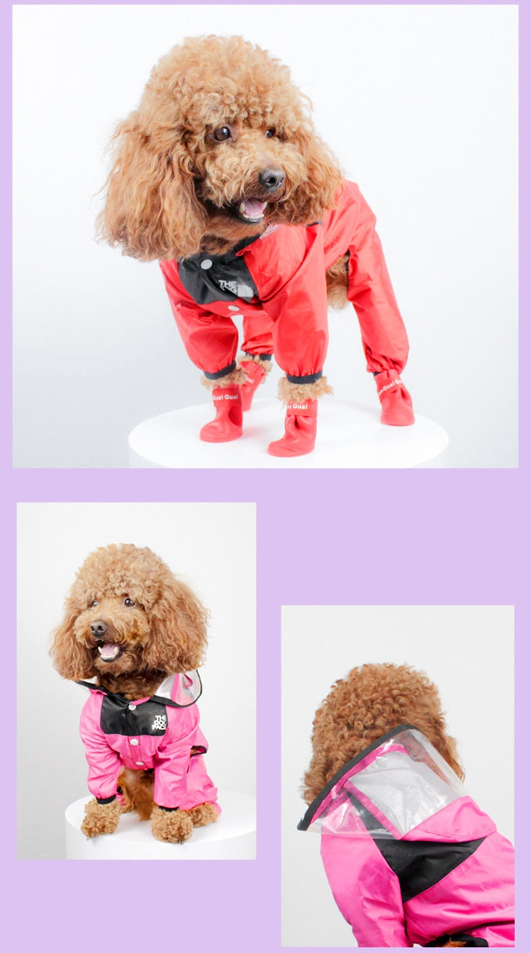 Doggy Raincoat