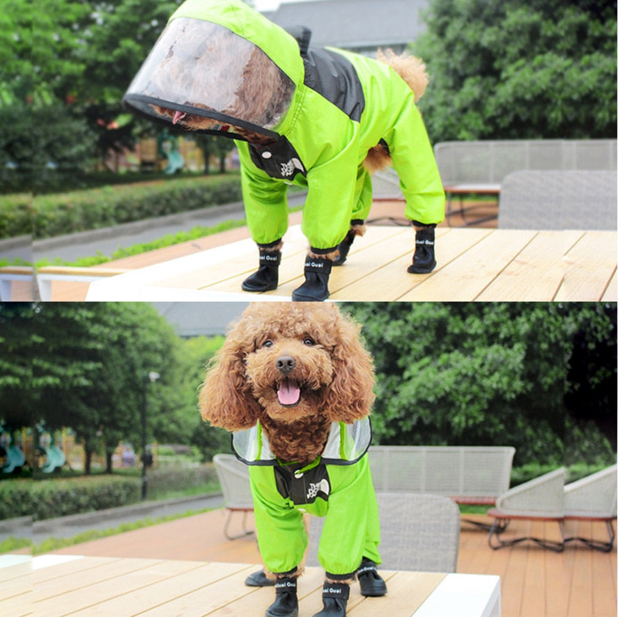 Doggy Raincoat
