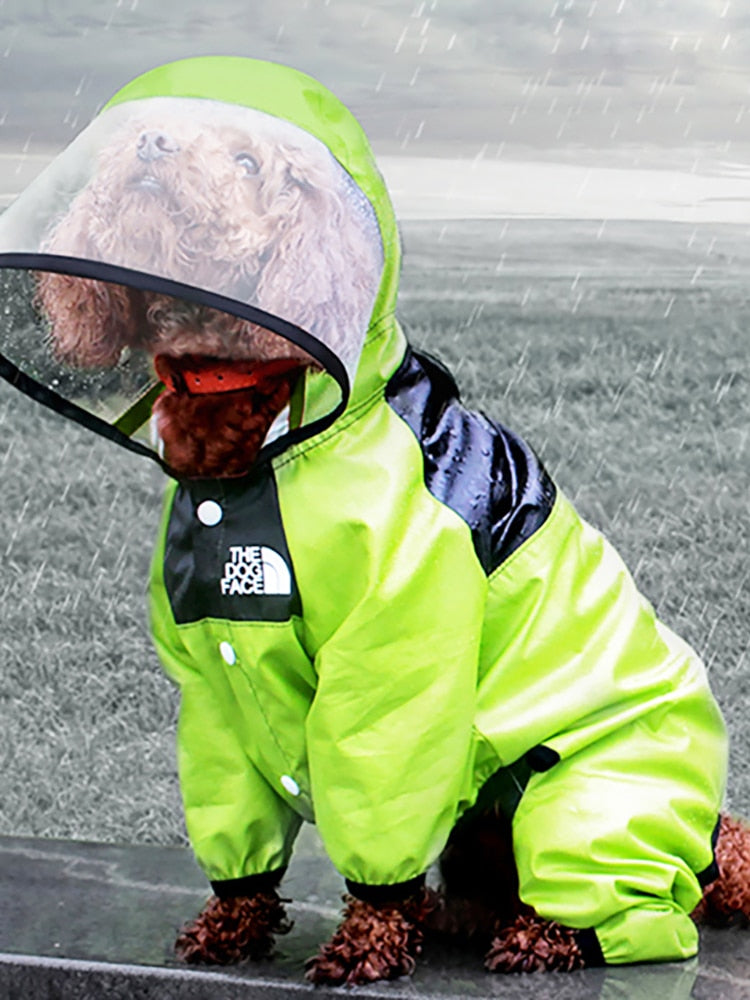 Doggy Raincoat